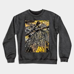 Fungus on rotting tree Crewneck Sweatshirt